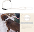 TUG Grab Collar with Integrated Traffic Leash, Magnetically Attached for Quick Control (Large/Cream)