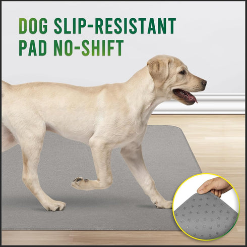 2X 18x24 inch, 2 Pack Pawfinity Washable Pee Pads for Dogs, Reusable Puppy Potty Training Pad, Ultra-Soft, Absorbs