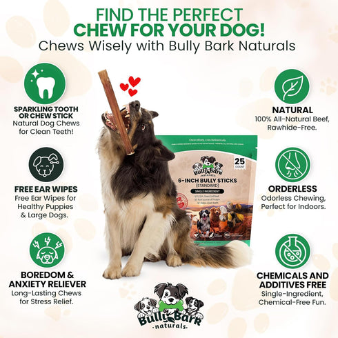 6 25 Count Standard Bully Sticks for Dogs - - Natural, Odor Free, High Protein, Grass-Fed Beef Pizzle Sticks for Dogs