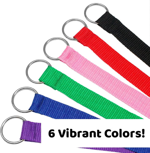 Downtown Pet Supply - 6ft Dog Kennel Slip Lead Leash - Veterinarian, Grooming, Daycare & Animal Rescue Supplies - One