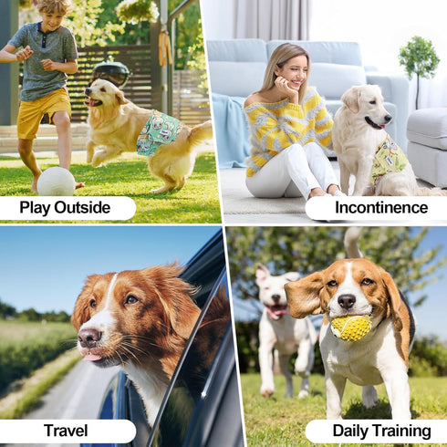 Pack 3, Washable Male Dog Diapers Reusable, Premium Dog Belly Bands for Male Dogs Medium, of High Absorbing Male Dog