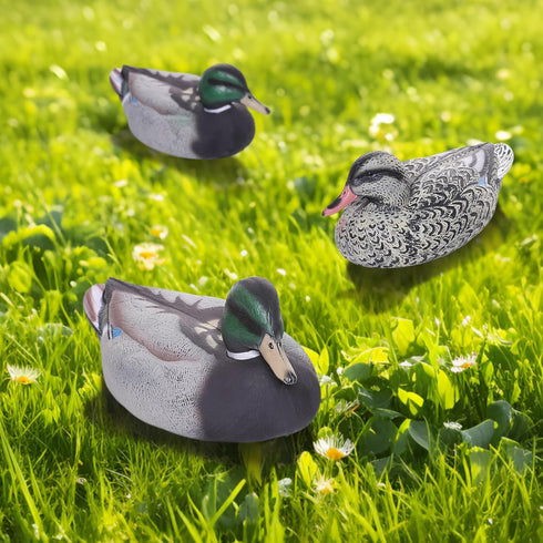Realistic Mallard Duck Models, Hunting Decoys and Ornaments for Enthusiasts