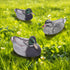 Realistic Mallard Duck Models, Hunting Decoys and Ornaments for Enthusiasts