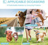 Avont 3 Pack Washable Female Dog Diapers, Premium Reusable Doggie Period Panties, Large, Black