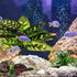 Reptile Artificial Plants, Terrarium Decorations for Aquarium Fish Tank, Amphibian Habitat Accessories (L Set-3pcs/B)