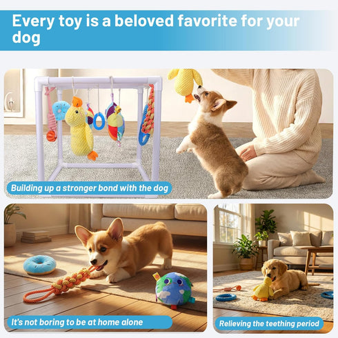 9 BABORUI Puppy Play Gym, Indoor Hanging Activity with Toys, Puppy Toys to Keep Them Busy, Adjustable Playground