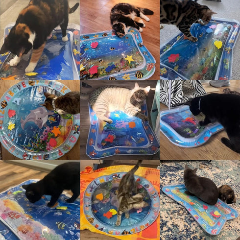 2025 Summer Cat Water Mat, Upgraded Thickened Anti-Scratch Leak Proof Cats Water Sensory Play Mat with Floating Fish