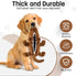 Chipmunk Flat NO Stuffing NO Squeak Plush Dog Toy, Funny Style for Small and Medium Dogs, 21 INCH Long