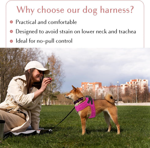 Comfort Fit Step-in Dog & Puppy Harness - Adjustable, Soft Padded, Easy to Put-on All Weather Vest for Small Dogs