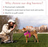 Comfort Fit Dog Harness, Soft Padded No Pull Harness with Adjustable Buckles for Small Medium Large Dogs, Easy Control