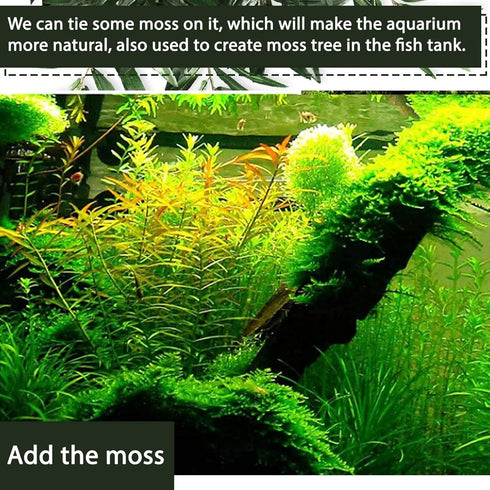 Tfwadmx Aquarium Natural Driftwood Decor - Wood Branches 8.5-12" for Fish Tank Decoration, Reptile Habitat Ornament (2