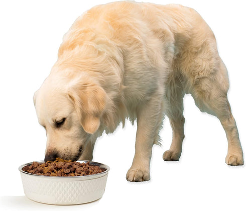 PetRageous Kona Stainless Steel Dog Bowl - 6.5-Cup Non-Slip, Dishwasher Safe, 8.5-Inch Diameter for Large Dogs