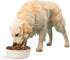 PetRageous Kona Stainless Steel Dog Bowl - 6.5-Cup Non-Slip, Dishwasher Safe, 8.5-Inch Diameter for Large Dogs