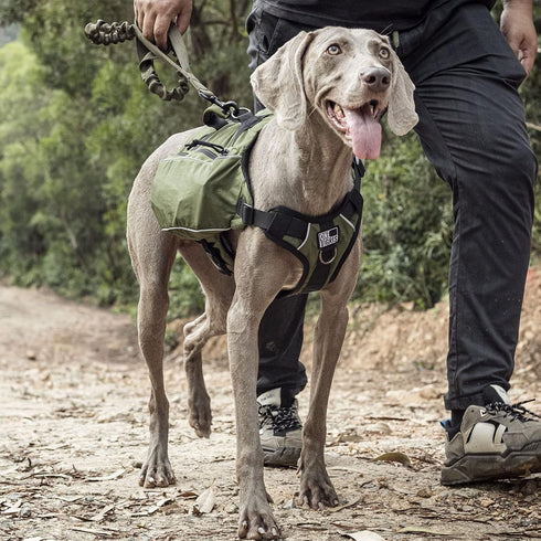 OneTigris Y-Shaped Dog Backpack, Lightweight Hiking Gear with Handle, Pockets & No Pull D-Rings (Large, Green)