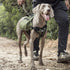 OneTigris Y-Shaped Dog Backpack, Lightweight Hiking Gear with Handle, Pockets & No Pull D-Rings (Large, Green)