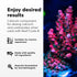 33.8 oz Brightwell Aquatics - Reef Code A - Balanced Calcium & Alkalinity System Water Conditioner - for All Saltwater