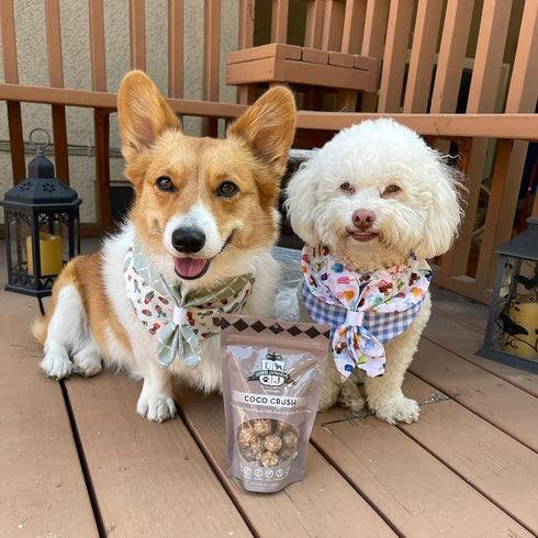 Coco Crush Organic Dog Treats, Organic Dog Treats Made with Peanut Butter and Coconut, 6 oz Bag