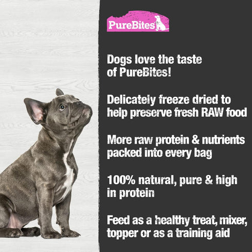 PureBites Freeze Dried Salmon Dog Treats 70g, 1 Ingredient, Made in USA (Packaging May Vary)
