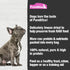PureBites Freeze Dried Salmon Dog Treats 70g, 1 Ingredient, Made in USA (Packaging May Vary)