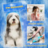 Pet Hair Remover Glove, Blue, Gentle Grooming Mitt for Dogs & Cats with Long & Short Fur