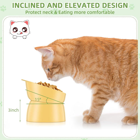 Zhehao 4 Pcs Elevated Cat Bowls, 15 Degrees Tilted Raised Plastic Food and Water Bowls for Cats and Small Dogs (Bear)