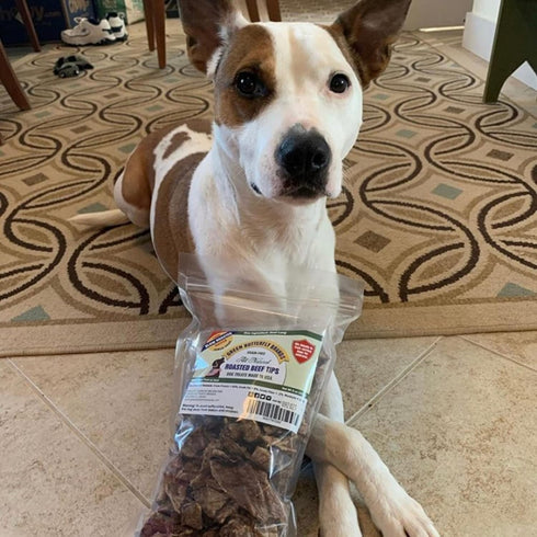 Beef Dog Treats Made in USA, All Natural Meaty Beef Tips, 8 Ounces - Crunchy Grain Free Training Treat