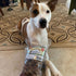 Beef Dog Treats Made in USA, All Natural Meaty Beef Tips, 8 Ounces - Crunchy Grain Free Training Treat