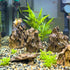 Seiryu Rock Stone - 2-6 inches for Aquariums, Landscaping Model, Tank Decoration (10lb)