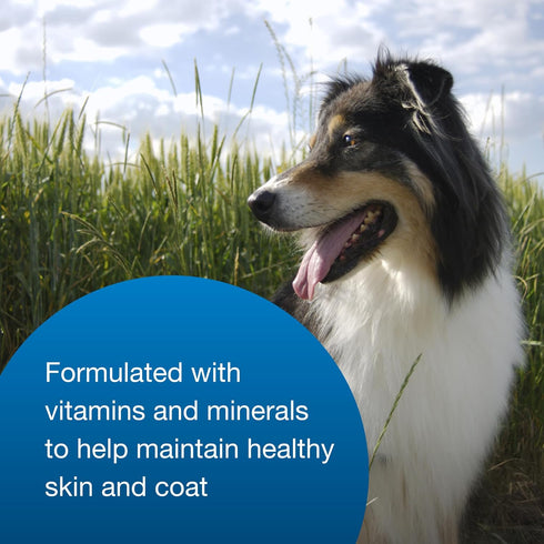 High Calorie Gel Supplement for Dogs - Pet-Ag, 5 oz, Chicken Flavor, Easy to Digest for Dogs 8 Weeks and Older
