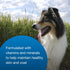 High Calorie Gel Supplement for Dogs - Pet-Ag, 5 oz, Chicken Flavor, Easy to Digest for Dogs 8 Weeks and Older