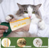 5 Pack Catnip Toys for Cats, Chew Resistant Cat Toys with Natural Catnip, Interactive Funny Shape Kitten Kicher, Soft