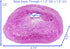 Penn-Plax Deco-Replicas Crystal Cave Aquarium Decoration, Amethyst Pink, Safe for Freshwater and Saltwater
