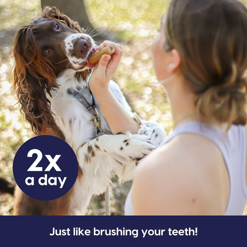 18oz Ark Naturals Fortify Brushless Toothpaste Large Breeds, Bag Dog Dental Chew with Calcium, Omegas & Beef Marrow
