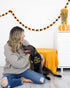 Pearhead Trick or Treat Bandana, Fall Holiday Dog Apparel, Halloween Costume, Slip On Collar Accessories, Small/Medium