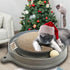 3 1 AUOON Cat Scratcher Toy with Ball Track - in Interactive Cat Toy, Cat Scratch Pad with Cat Ball Toy and Plush Cat