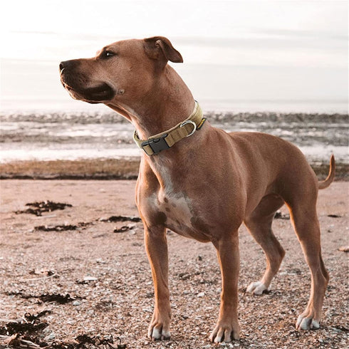 EXCELLENT ELITE SPANKER Nylon Puppy Dog Collar, Adjustable Soft Padded Heavy Duty Collar for Small Medium Dogs