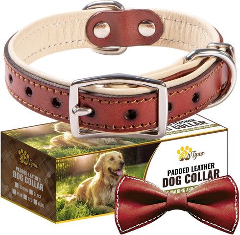 ADITYNA Heavy-Duty Premium Leather Dog Collar for Small Dogs, Padded with Soft Genuine Leather for Comfort