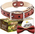 ADITYNA Heavy-Duty Premium Leather Dog Collar for Small Dogs, Padded with Soft Genuine Leather for Comfort