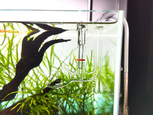 Glass Lily Pipe Outflow - Surface Skimmer for Planted Tank Aquarium (17mm for 16/22mm tubing)
