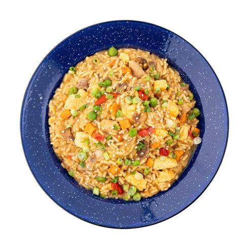 Mountain House Chicken Fried Rice - Freeze Dried Backpacking Camping Food | 2 Servings | Gluten-Free