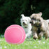 Dog Toy Ball, 9.5" Large Tennis Balls for Small Medium Large Dogs, 2 Pack with Pump & Needle