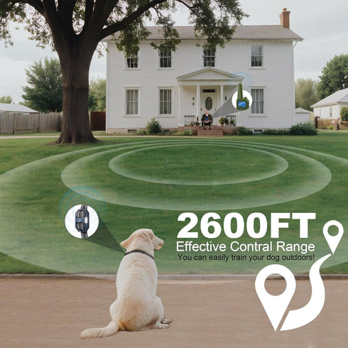 Dog Training Collar with Remote, 2600FT Range, 4 Training Modes Beep, Shake, Safe Shock, LED Light, Rechargeable IPX7