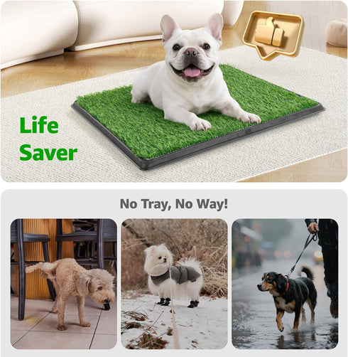 20''x25'': Portable Dog Grass Pad with Tray Dog Litter Box with Artificial Grass Patch Bathroom Mat & Washable Pee Pad