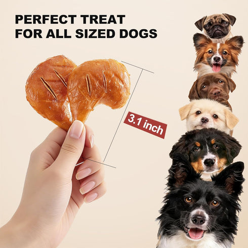 11 Count PETPHABET Rawhide Free Dog Chew Bones - Grilled Chicken Leg Dog Chews for Small Medium Breeds, Healthy Puppy