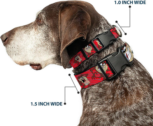 Buckle-Down Plastic Clip Collar, Tasmanian Devil Expressions Red Swirl, 1" Wide, Medium