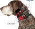 Buckle-Down Plastic Clip Collar, Tasmanian Devil Expressions Red Swirl, 1" Wide, Medium