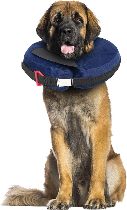 Protective Inflatable Collar XLarge with Dog Calming Disc
