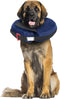 Protective Inflatable Collar XLarge with Dog Calming Disc