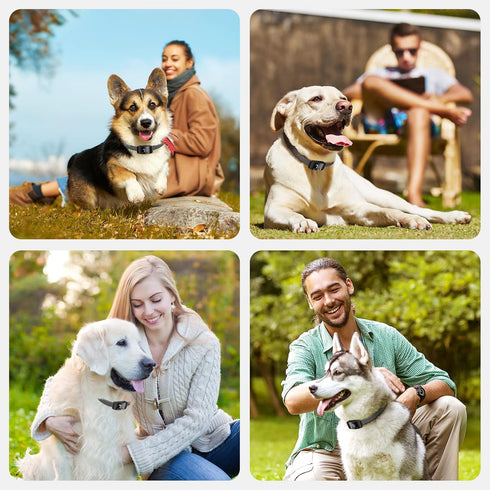 NBJU Bark Collar for Dogs, Rechargeable Anti Barking Training Collar with 7 Adjustable Sensitivity for Small Medium