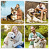 NBJU Bark Collar for Dogs, Rechargeable Anti Barking Training Collar with 7 Adjustable Sensitivity for Small Medium